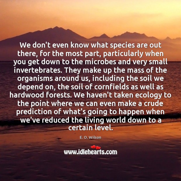 We don’t even know what species are out there, for the most E. O. Wilson Picture Quote