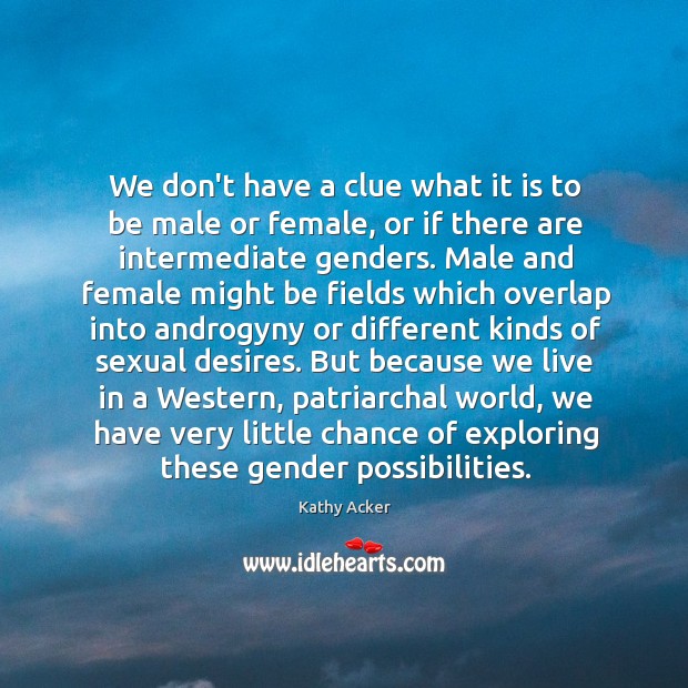 We don’t have a clue what it is to be male or Kathy Acker Picture Quote
