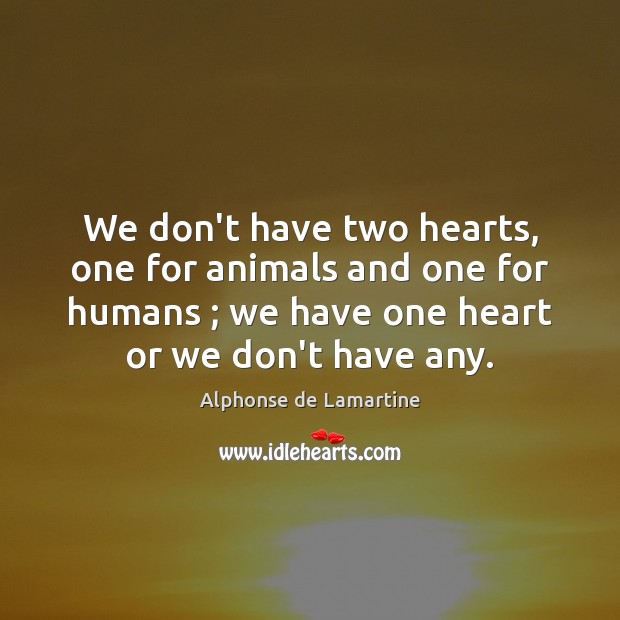We don’t have two hearts, one for animals and one for humans ; Image