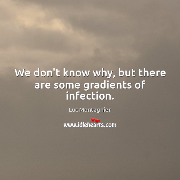 We don’t know why, but there are some gradients of infection. Luc Montagnier Picture Quote