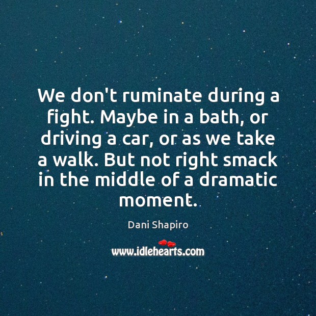 We don’t ruminate during a fight. Maybe in a bath, or driving Dani Shapiro Picture Quote