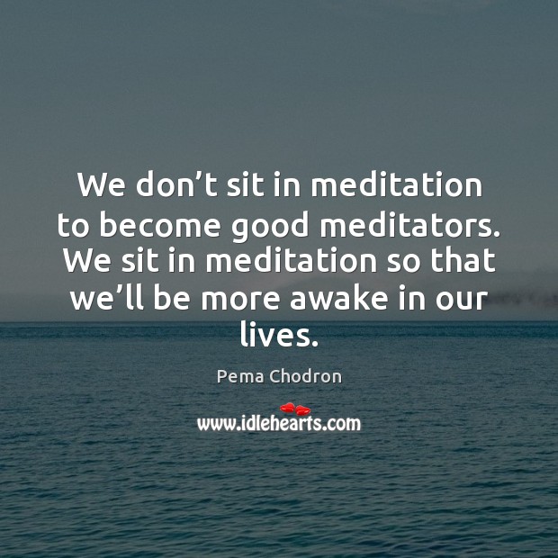 We don’t sit in meditation to become good meditators. We sit Pema Chodron Picture Quote