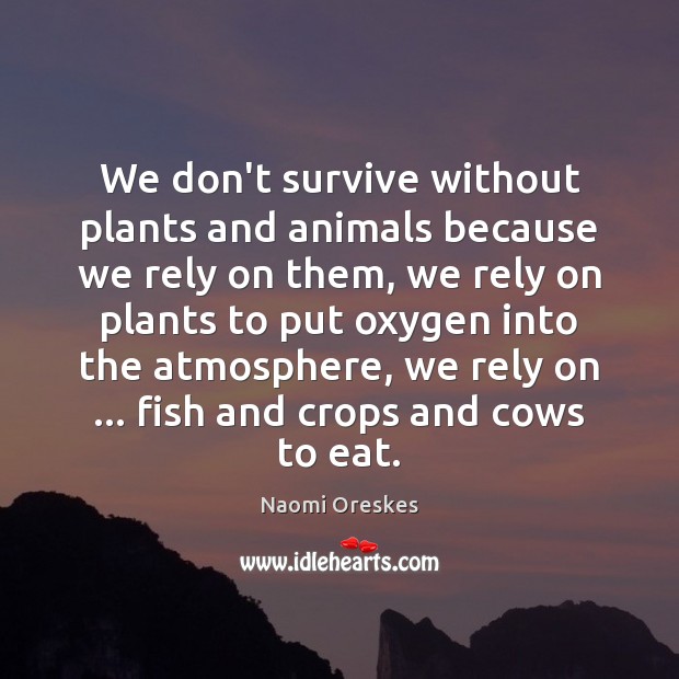We don’t survive without plants and animals because we rely on them, Image
