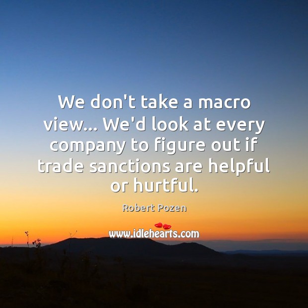 We don’t take a macro view… We’d look at every company to Robert Pozen Picture Quote