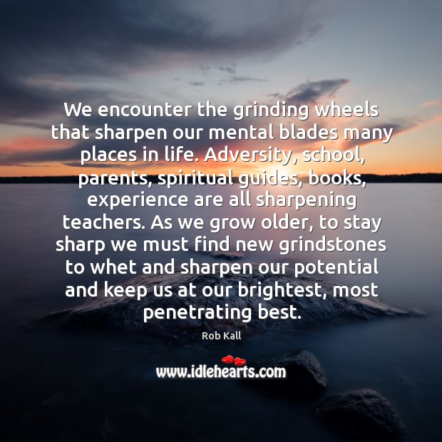 We encounter the grinding wheels that sharpen our mental blades many places Rob Kall Picture Quote