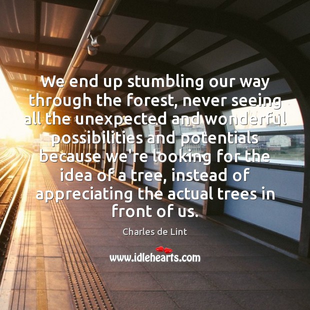 We end up stumbling our way through the forest, never seeing all Charles de Lint Picture Quote