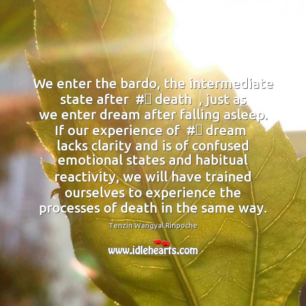 We enter the bardo, the intermediate state after  #‎ death  , just as we Tenzin Wangyal Rinpoche Picture Quote