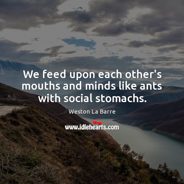We feed upon each other’s mouths and minds like ants with social stomachs. Image