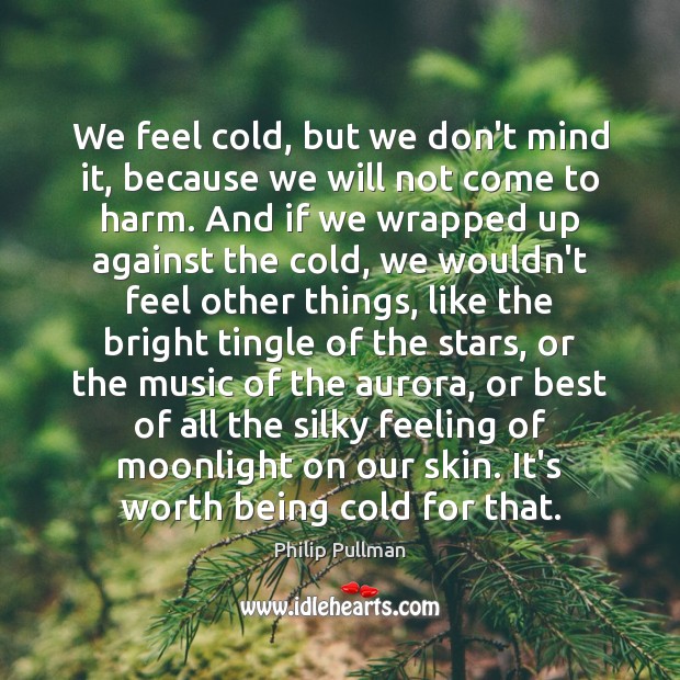 We feel cold, but we don’t mind it, because we will not Philip Pullman Picture Quote