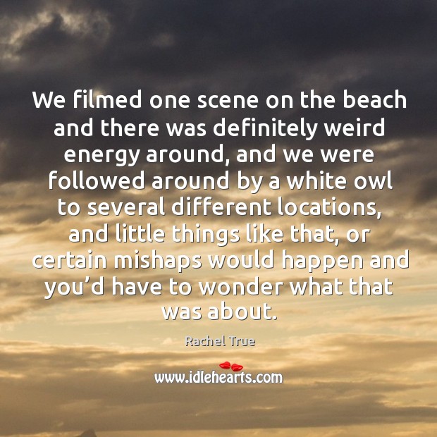 We filmed one scene on the beach and there was definitely weird energy around Rachel True Picture Quote