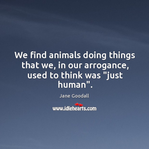 We find animals doing things that we, in our arrogance, used to think was “just human”. Jane Goodall Picture Quote