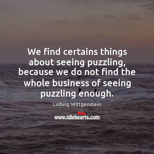 We find certains things about seeing puzzling, because we do not find Ludwig Wittgenstein Picture Quote