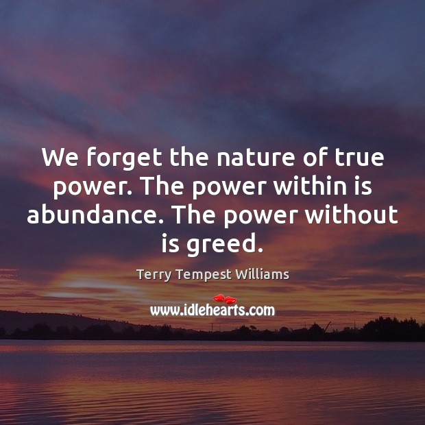 We forget the nature of true power. The power within is abundance. Terry Tempest Williams Picture Quote