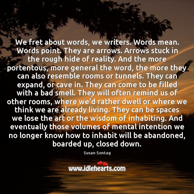 We fret about words, we writers. Words mean. Words point. They are Susan Sontag Picture Quote