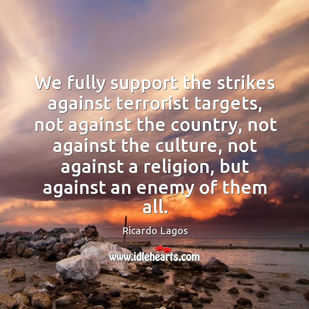 We fully support the strikes against terrorist targets, not against the country, not 
