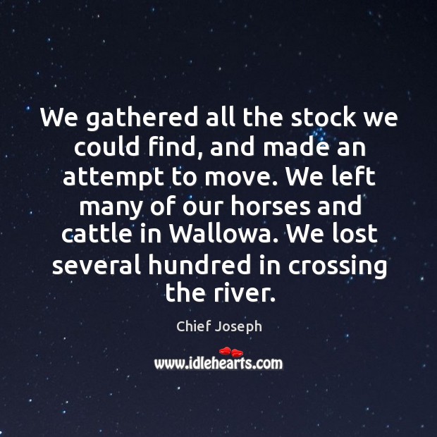 We gathered all the stock we could find, and made an attempt to move. Chief Joseph Picture Quote