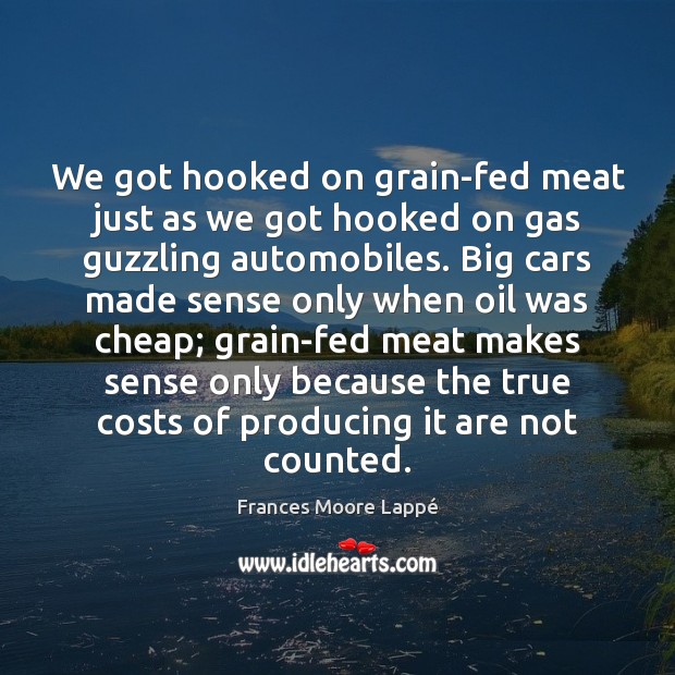 We got hooked on grain-fed meat just as we got hooked on Frances Moore Lappé Picture Quote