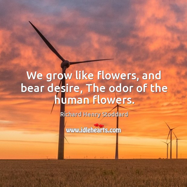 We grow like flowers, and bear desire, the odor of the human flowers. Richard Henry Stoddard Picture Quote