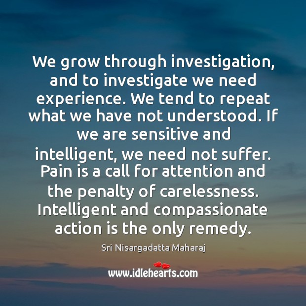 We grow through investigation, and to investigate we need experience. We tend Sri Nisargadatta Maharaj Picture Quote