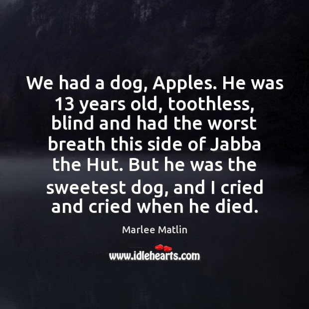 We had a dog, Apples. He was 13 years old, toothless, blind and Marlee Matlin Picture Quote