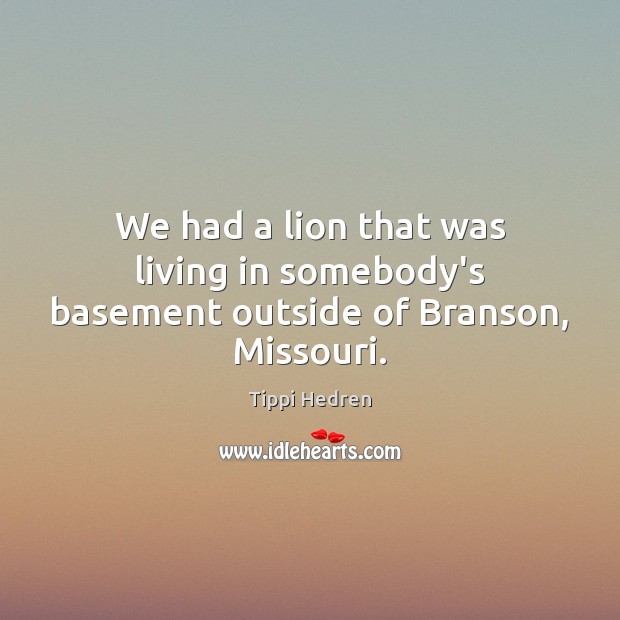 We had a lion that was living in somebody’s basement outside of Branson, Missouri. Tippi Hedren Picture Quote
