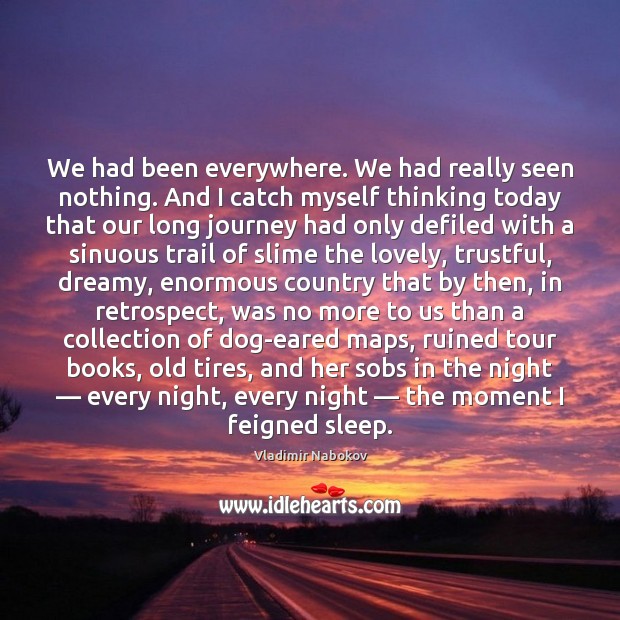 We had been everywhere. We had really seen nothing. And I catch Vladimir Nabokov Picture Quote