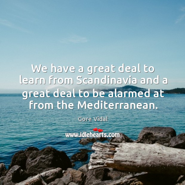 We have a great deal to learn from Scandinavia and a great Gore Vidal Picture Quote