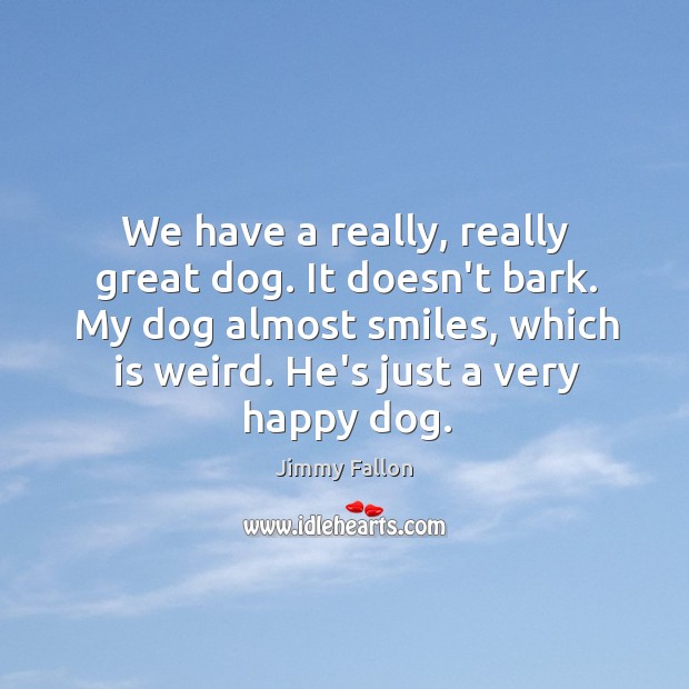 We have a really, really great dog. It doesn’t bark. My dog Jimmy Fallon Picture Quote