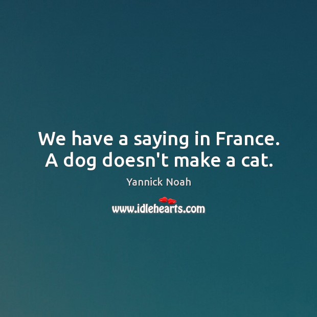 We have a saying in France. A dog doesn’t make a cat. Yannick Noah Picture Quote