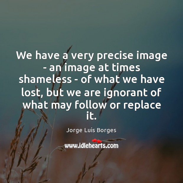 We have a very precise image – an image at times shameless Jorge Luis Borges Picture Quote