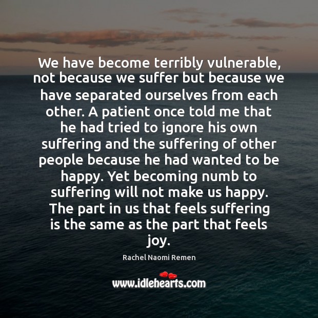We have become terribly vulnerable, not because we suffer but because we Rachel Naomi Remen Picture Quote