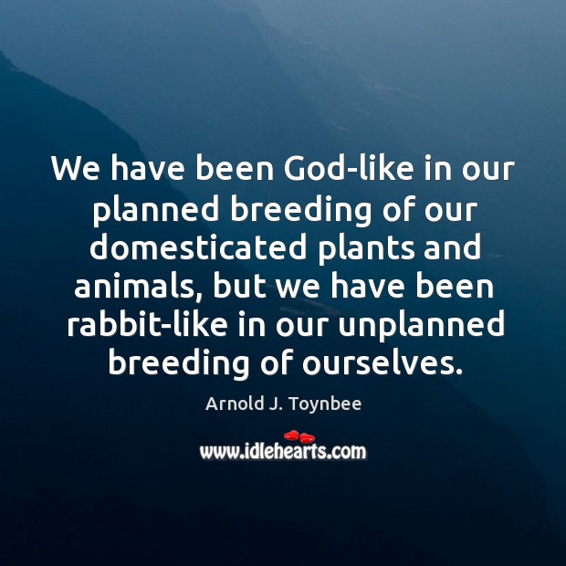 We have been God-like in our planned breeding of our domesticated plants Arnold J. Toynbee Picture Quote