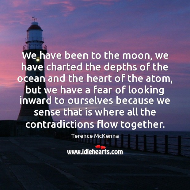 We have been to the moon, we have charted the depths of Terence McKenna Picture Quote