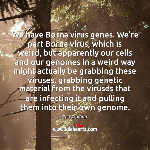 We have Borna virus genes. We’re part Borna virus, which is weird, Carl Zimmer Picture Quote