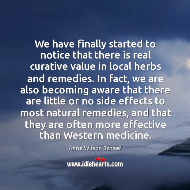 We have finally started to notice that there is real curative value in local herbs and remedies. Anne Wilson Schaef Picture Quote