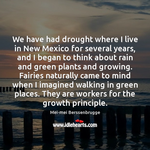 We have had drought where I live in New Mexico for several Mei-mei Berssenbrugge Picture Quote