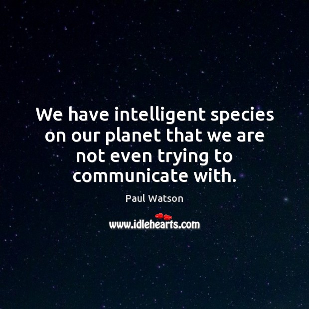 We have intelligent species on our planet that we are not even trying to communicate with. Paul Watson Picture Quote