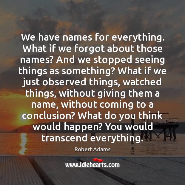 We have names for everything. What if we forgot about those names? Robert Adams Picture Quote