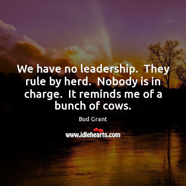 We have no leadership.  They rule by herd.  Nobody is in charge. Image