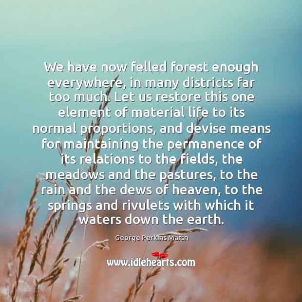 We have now felled forest enough everywhere, in many districts far too George Perkins Marsh Picture Quote