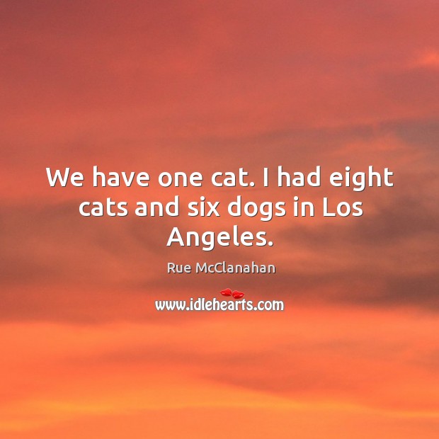 We have one cat. I had eight cats and six dogs in los angeles. Image