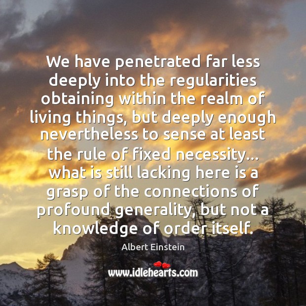 We have penetrated far less deeply into the regularities obtaining within the Image