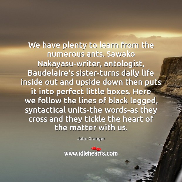 We have plenty to learn from the numerous ants. Sawako Nakayasu-writer, antologist, John Granger Picture Quote