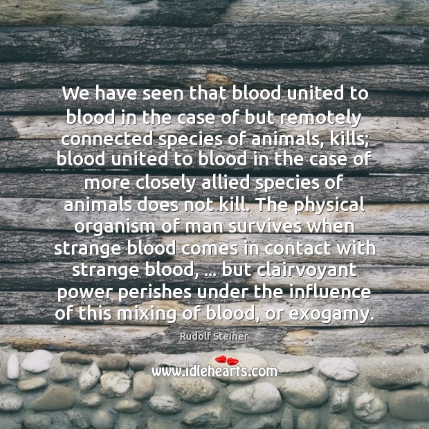 We have seen that blood united to blood in the case of Rudolf Steiner Picture Quote