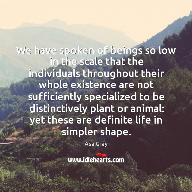We have spoken of beings so low in the scale that the individuals throughout their whole Asa Gray Picture Quote