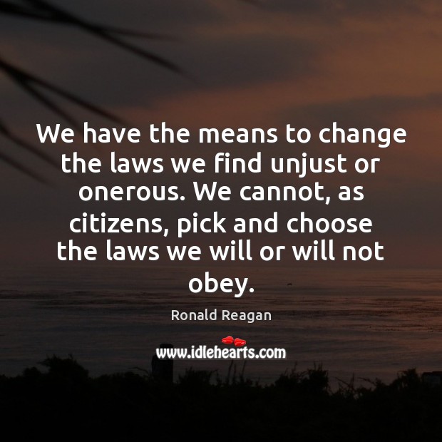 We have the means to change the laws we find unjust or Image