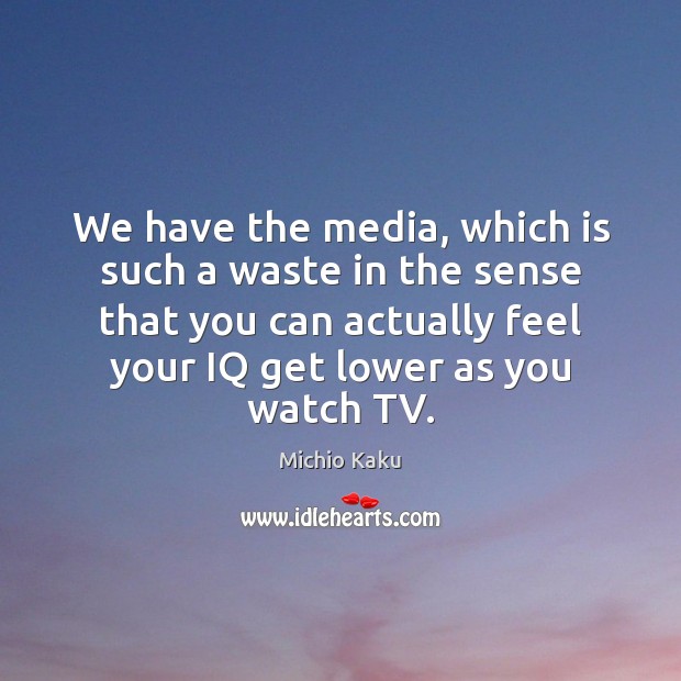 We have the media, which is such a waste in the sense Michio Kaku Picture Quote