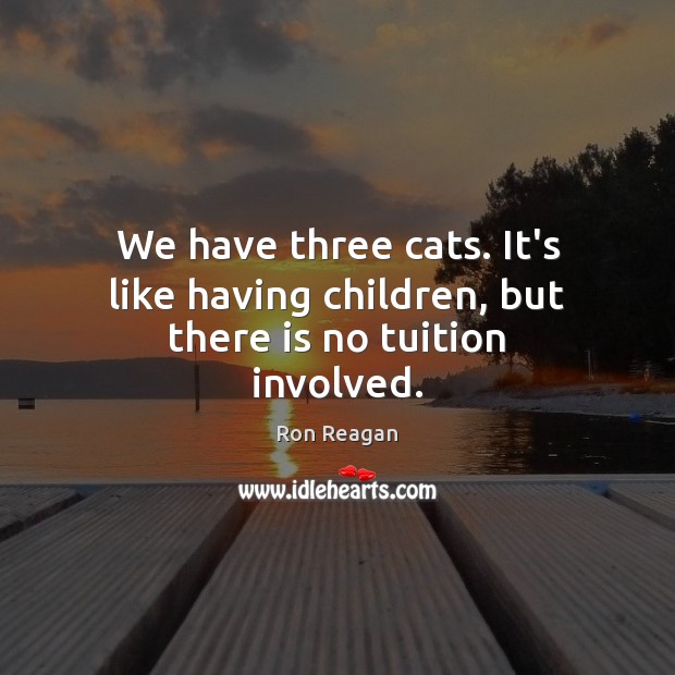 We have three cats. It’s like having children, but there is no tuition involved. 