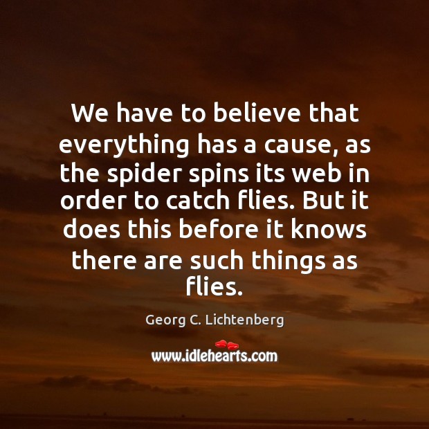 We have to believe that everything has a cause, as the spider Georg C. Lichtenberg Picture Quote