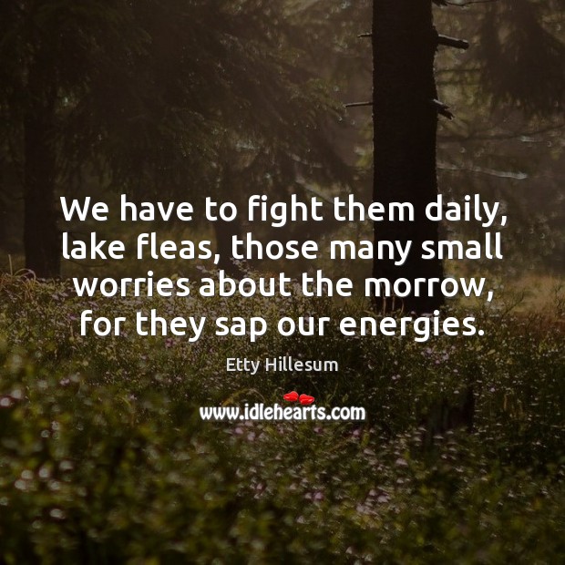 We have to fight them daily, lake fleas, those many small worries Etty Hillesum Picture Quote